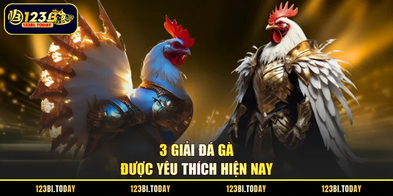 3 giải đá gà 123b được yêu thích hiện nay